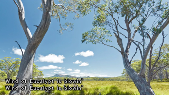ユーカリの風の中で